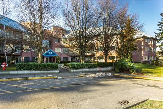 Trade Winds - photo 2 of 6