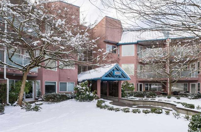 Trade Winds - photo 4 of 6