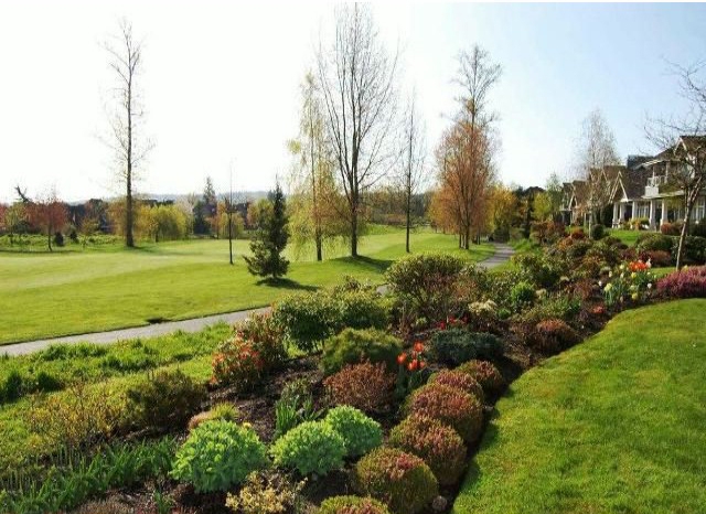 Wedgewood - photo 4 of 9