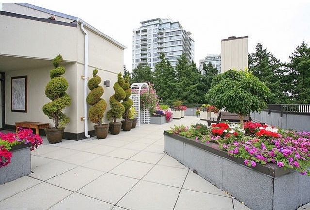 White Rock Square 1 - photo 3 of 6