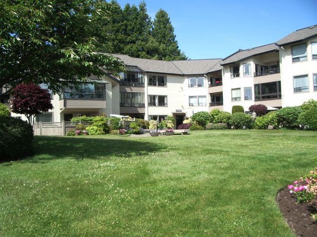 Whitecliffe by the Sea