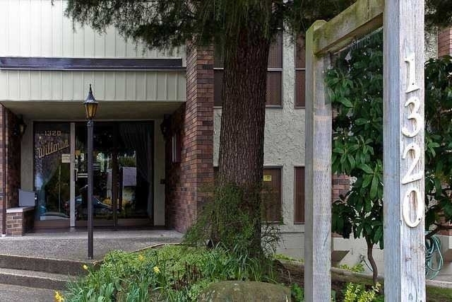 Willows - photo 2 of 3