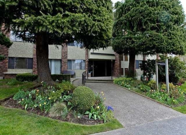 Willows - photo 3 of 3