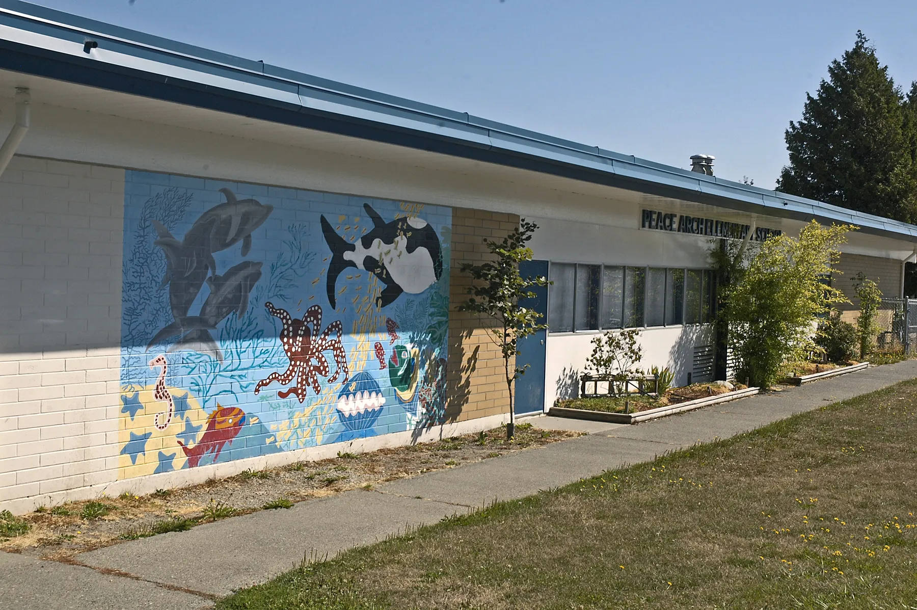 Peace Arch Elementary