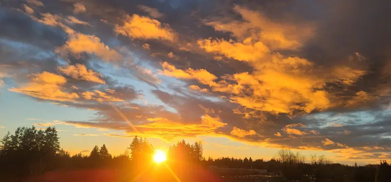 516 27218 ALDERGROVE TOWN CENTER DRIVE - photo 2 of 25