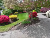 16221 MORGAN CREEK CRESCENT - thumbnail 3