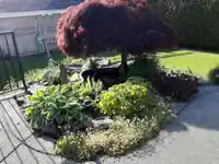 16221 MORGAN CREEK CRESCENT - thumbnail 37