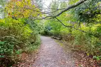 210 15155 22 AVENUE - thumbnail 27