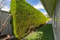 58 17516 4TH AVENUE - thumbnail 33