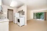 208 15020 NORTH BLUFF ROAD - thumbnail 11