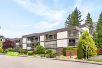 311 1520 VIDAL STREET - thumbnail 36
