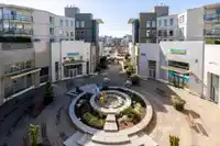 226 15850 26 AVENUE - thumbnail 31