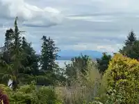 1414 132B STREET - thumbnail 25