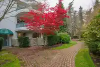 106 1705 MARTIN DRIVE - thumbnail 31