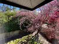 15561 36B AVENUE - thumbnail 38