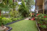 204 1458 BLACKWOOD STREET - thumbnail 31