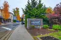 73 15405 31 AVENUE - thumbnail 37