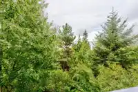 324 15988 26 AVENUE - thumbnail 18