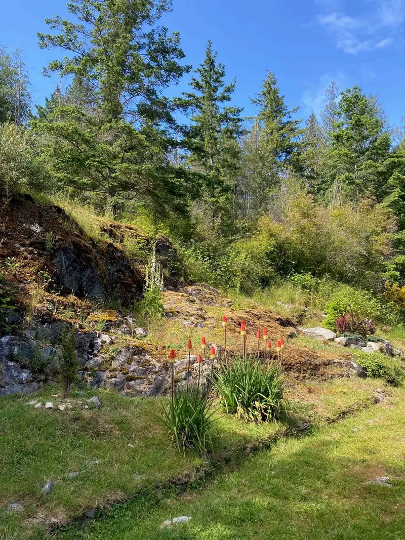 4569 FRANCIS PENINSULA ROAD - photo 3 of 25