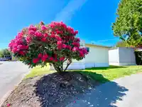 85 1840 160 STREET - thumbnail 22