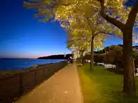 14831 MARINE DRIVE - thumbnail 26