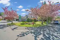 13658 19 AVENUE - thumbnail 3
