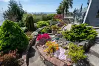 14535 SUNSET DRIVE - thumbnail 24
