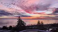 14937 BLACKWOOD LANE - thumbnail 40