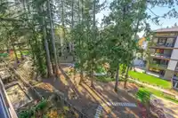 411 3535 146A STREET - thumbnail 24