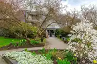 306 14950 THRIFT AVENUE - thumbnail 2