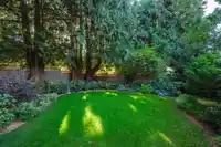 1350 EVERALL STREET - thumbnail 9