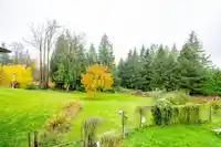 19506 3A AVENUE - thumbnail 13