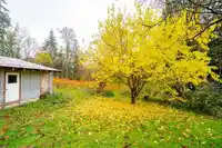 19506 3A AVENUE - thumbnail 18