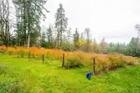 19506 3A AVENUE - thumbnail 19