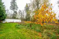 19506 3A AVENUE - thumbnail 20
