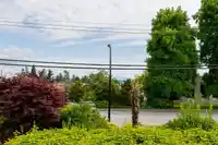204 15367 BUENA VISTA AVENUE - thumbnail 31