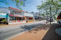 1805 1500 MARTIN STREET - thumbnail 32