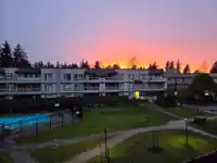 321 1850 E SOUTHMERE CRESCENT - thumbnail 11