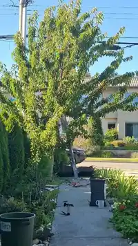 15448 RUSSELL AVENUE - thumbnail 33
