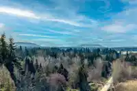 16790 17 AVENUE - thumbnail 3