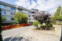103 15290 THRIFT AVENUE - thumbnail 20