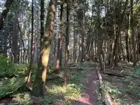 17384 8 AVENUE - thumbnail 11