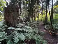 17384 8 AVENUE - thumbnail 13