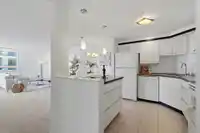 303 1480 FOSTER STREET - thumbnail 10