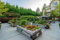 405 2511 KING GEORGE BOULEVARD - thumbnail 40