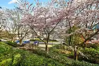 205 15140 29A AVENUE - thumbnail 26