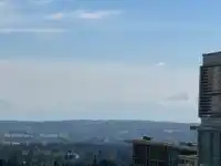 1807 15152 RUSSELL AVENUE - thumbnail 29