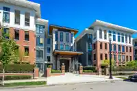 101 15137 33 AVENUE - thumbnail 2