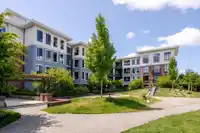 101 15137 33 AVENUE - thumbnail 31