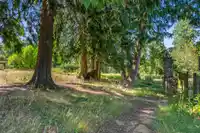 17311 HILLVIEW PLACE - thumbnail 31